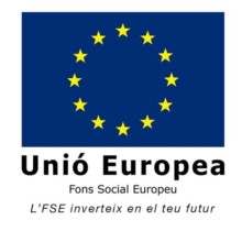 Fons Social Europeu